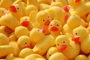 duck meet, ducks, rubber ducks, plastic ducks, duck race, competition, toy, yellow duck, run, bath duck, family reunions, lots, yellow, toy ducks, event, rennwetbewerb, swimming competition, race, ducks, ducks, ducks, rubber ducks, rubber ducks, rubber ducks, rubber ducks, rubber ducks, toy, yellow duck